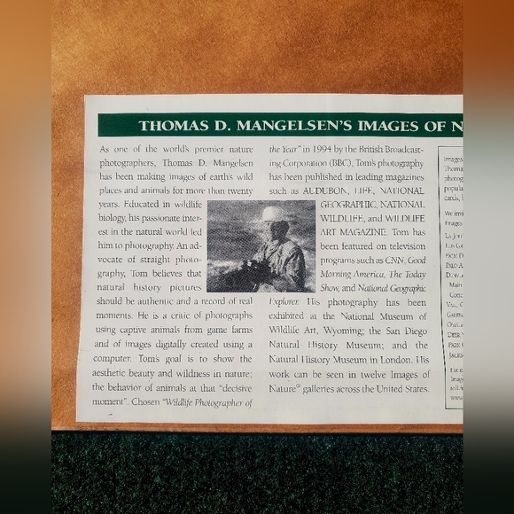 Thomas D. Mangelsen Out Of Darkness Bald Eagle Signed Framed Print Art 34"x28" - Picture 12 of 16